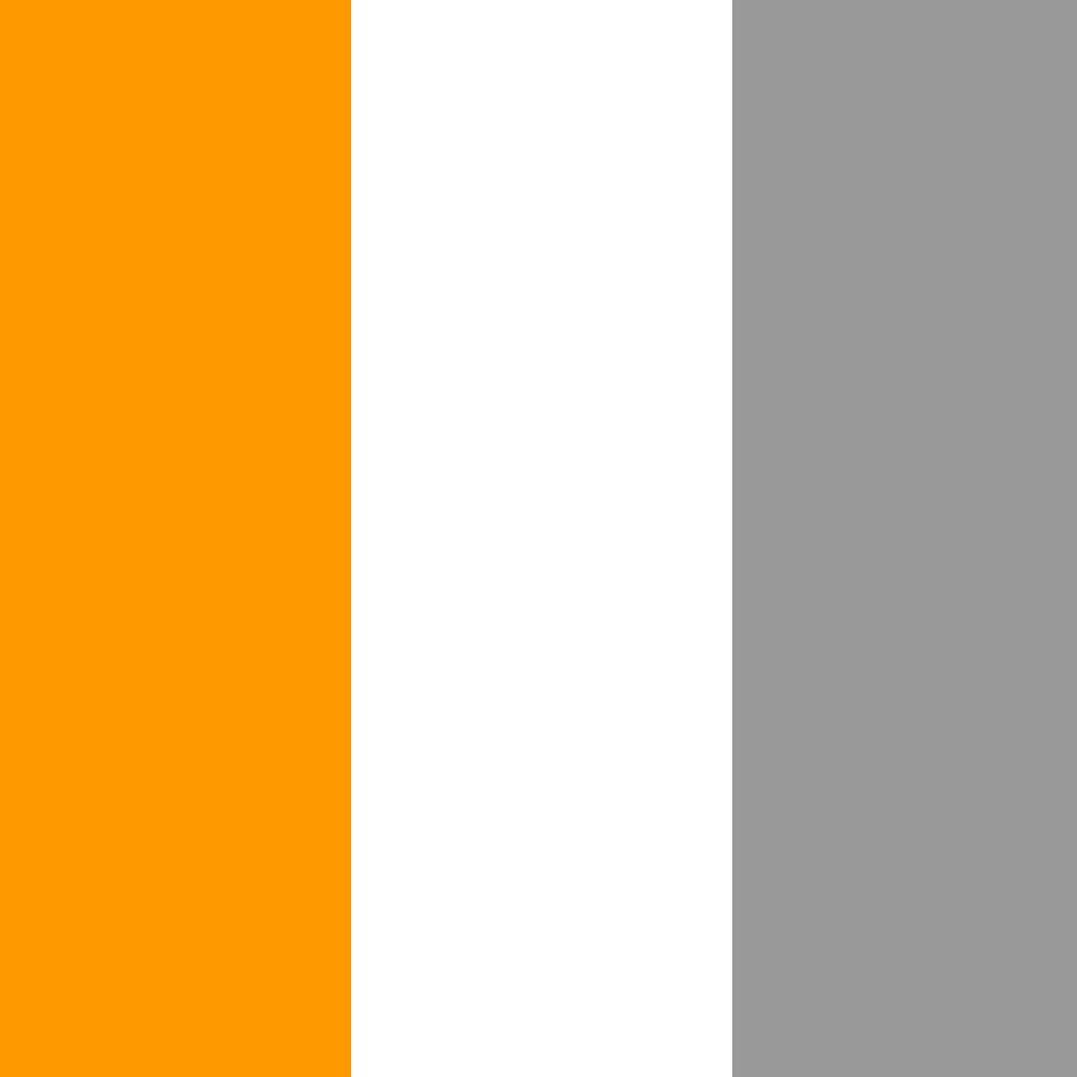 оранжевый/белый/серый_FF9900/FFFFFF/999999