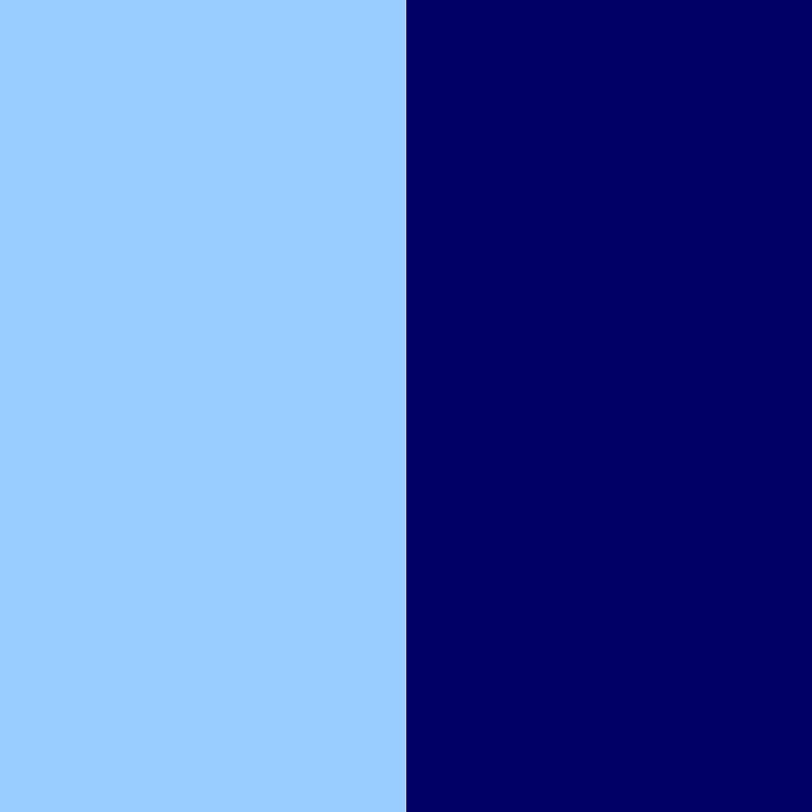 небесно-голубой/темно-синий_99CCFF/000066