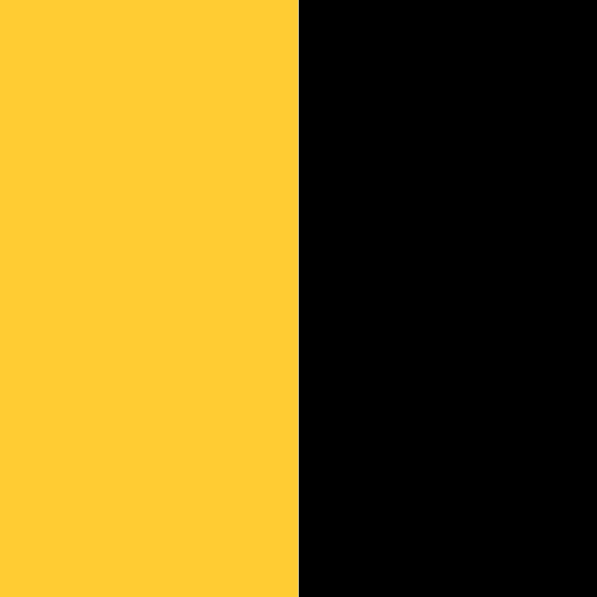 желтый/черный_FFCC33/000000