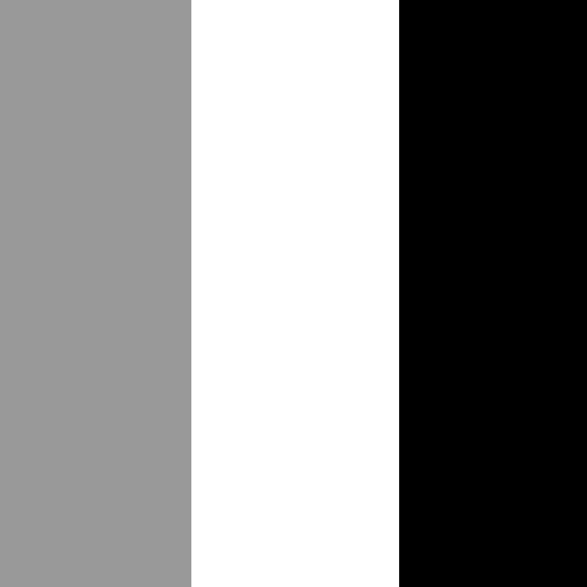 серый/белый/черный_999999/FFFFFF/000000