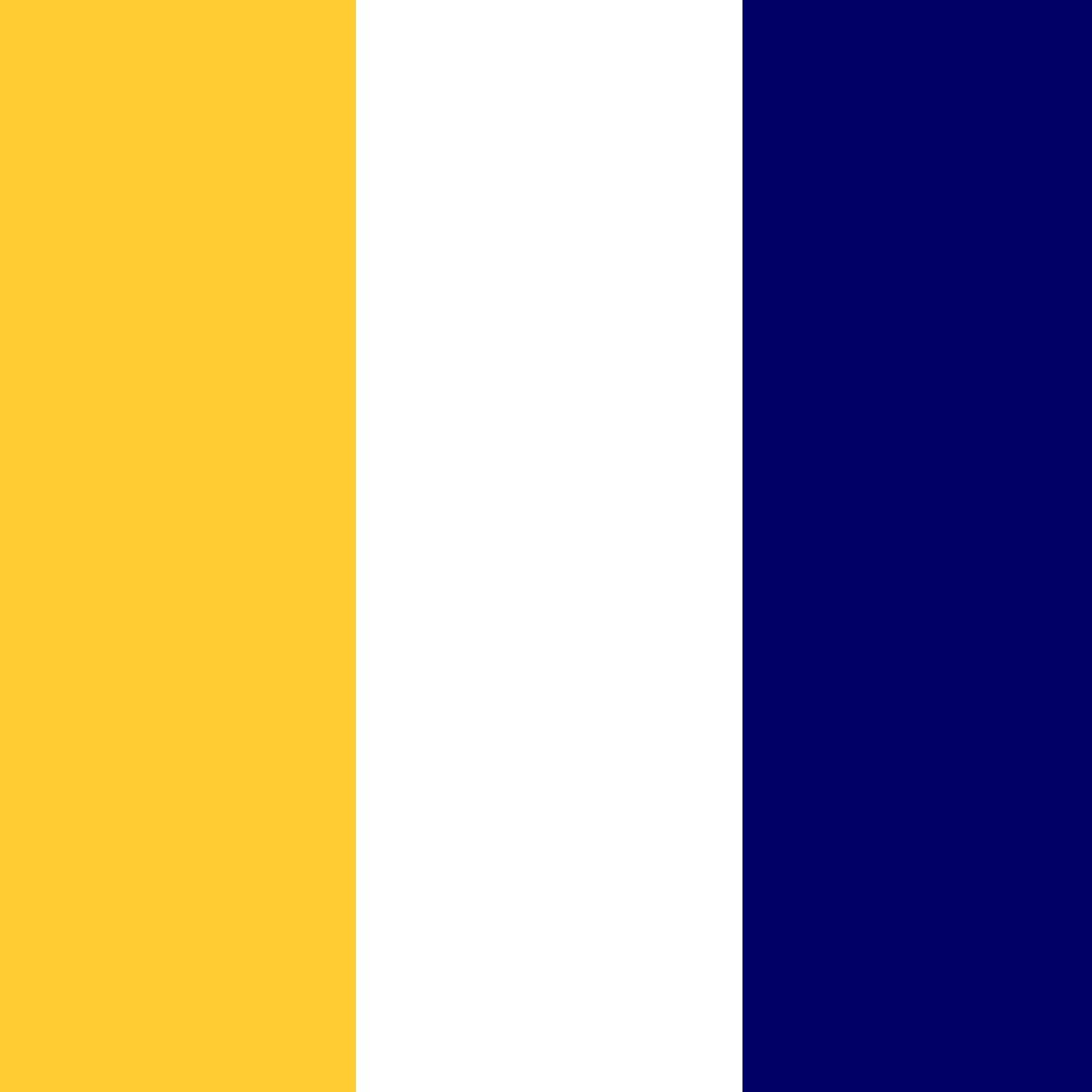желтый/белый/темно-синий_FFCC33/FFFFFF/000066