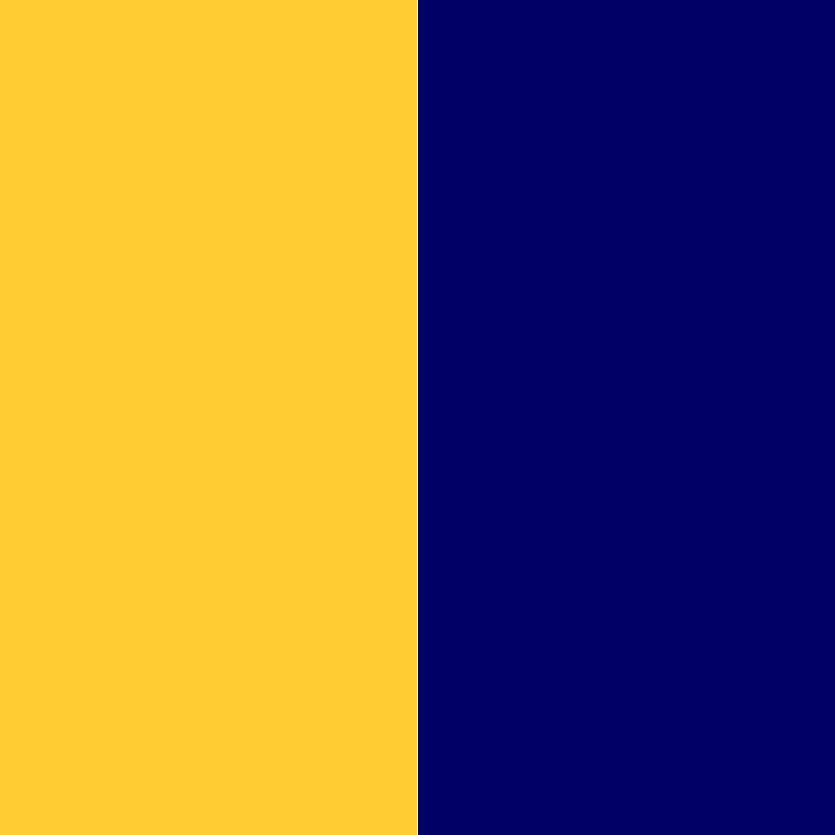 желтый/темно-синий_FFCC33/000066