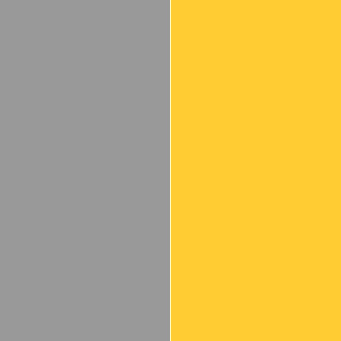 серый/желтый_999999/FFCC33